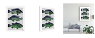 Trademark Global Fab Funky Blue and Green Fish Trio Canvas Art - 36.5" x 48"